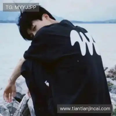 卫昭桥